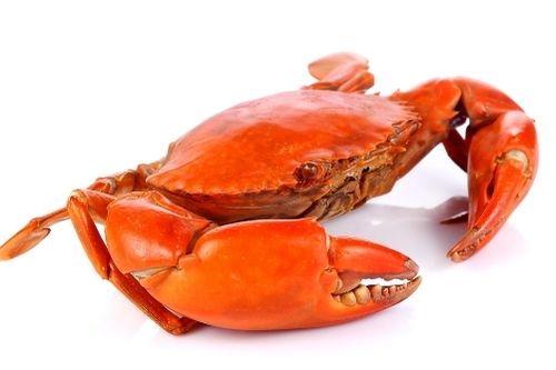 Crabs